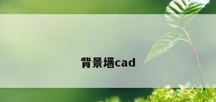 背景墙cad