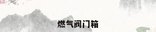 燃气阀门箱