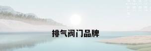排气阀门品牌