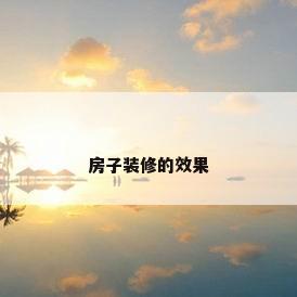 房子装修的效果