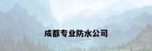 成都专业防水公司
