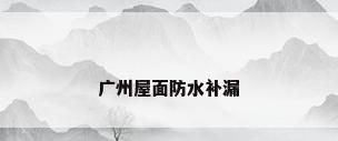 广州屋面防水补漏