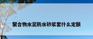 聚合物水泥防水砂浆套什么定额