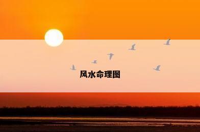 风水命理图
