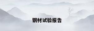 钢材试验报告