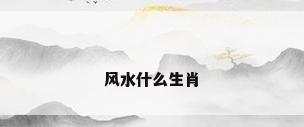 风水什么生肖