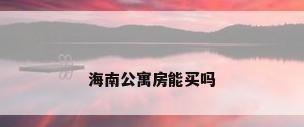 海南公寓房能买吗