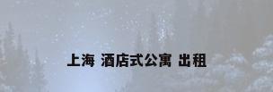 上海 酒店式公寓 出租