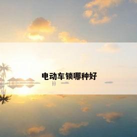 电动车锁哪种好
