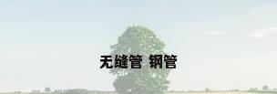 无缝管 钢管