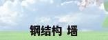 钢结构 墙