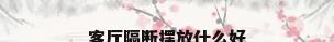 客厅隔断摆放什么好
