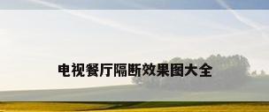 电视餐厅隔断效果图大全