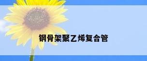 钢骨架聚乙烯复合管