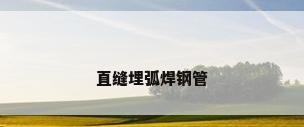 直缝埋弧焊钢管