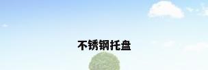 不锈钢托盘