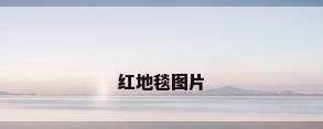 红地毯图片