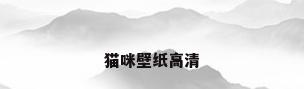 猫咪壁纸高清