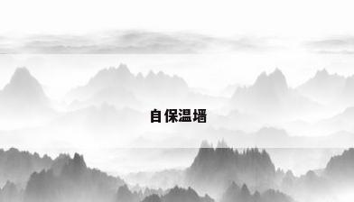 自保温墙
