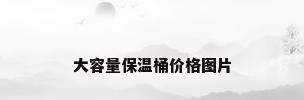 大容量保温桶价格图片