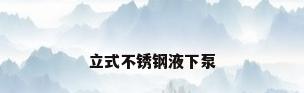 立式不锈钢液下泵
