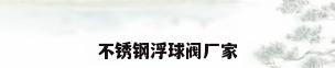 不锈钢浮球阀厂家