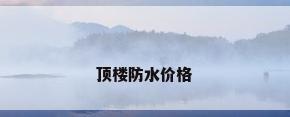 顶楼防水价格
