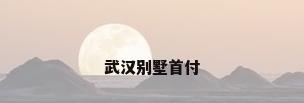 武汉别墅首付