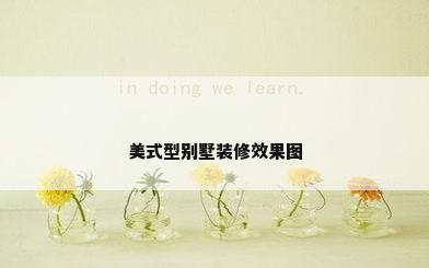 美式型别墅装修效果图