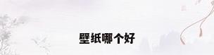 壁纸哪个好