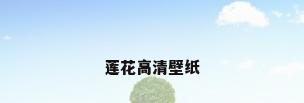 莲花高清壁纸