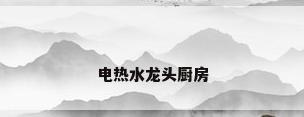 电热水龙头厨房