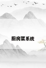 厨房菜系统
