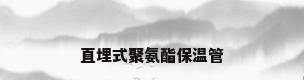 直埋式聚氨酯保温管