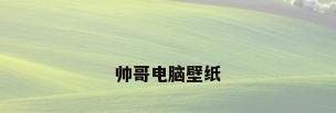 帅哥电脑壁纸
