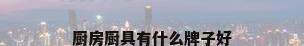 厨房厨具有什么牌子好
