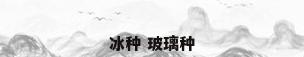 冰种 玻璃种