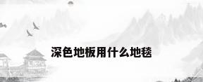 深色地板用什么地毯
