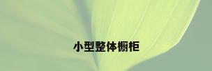 小型整体橱柜