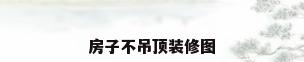 房子不吊顶装修图