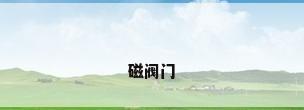 磁阀门