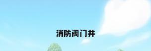 消防阀门井