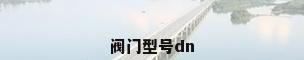 阀门型号dn