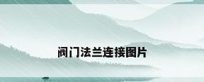 阀门法兰连接图片