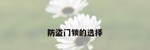 防盗门锁的选择