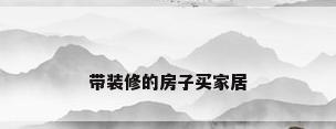 带装修的房子买家居