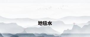 地毯水