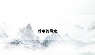 养龟的风水
