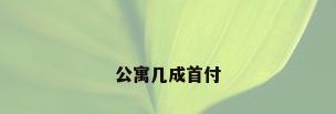 公寓几成首付