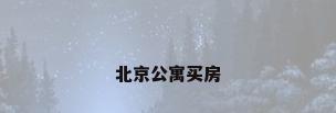 北京公寓买房